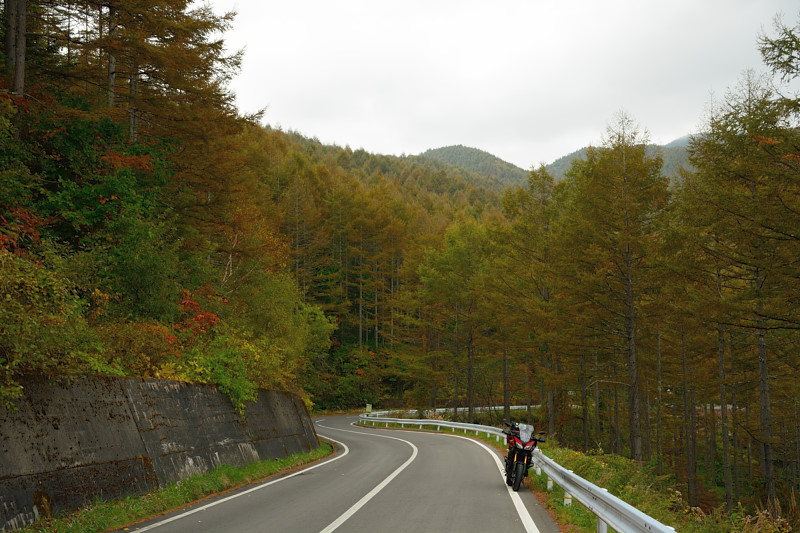 d0164443_17564367.jpg