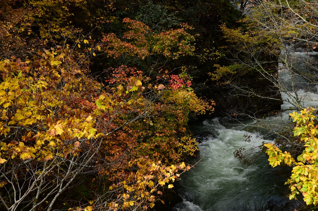 b0132951_9471063.jpg