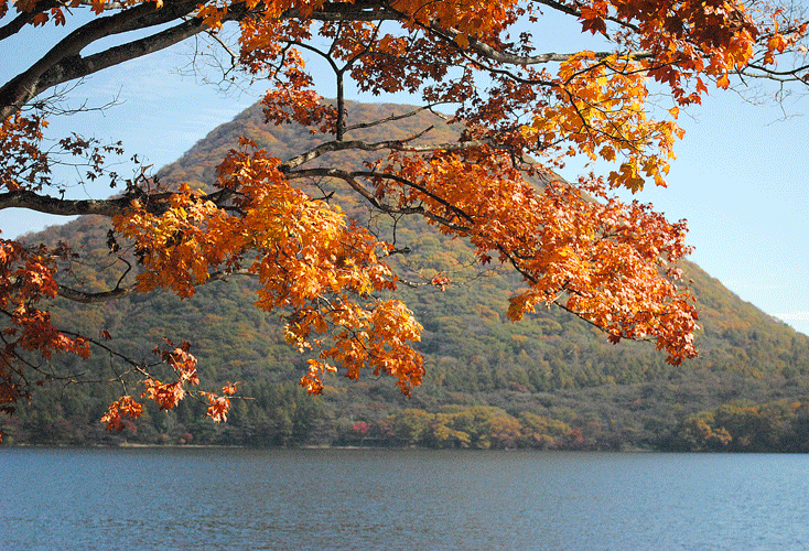 a0001354_20135128.gif