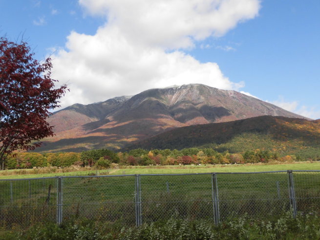 c0324959_14515276.jpg