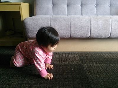 c0139765_13525561.jpg