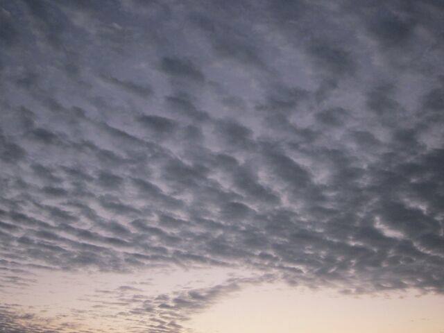 c0309870_11020987.jpg