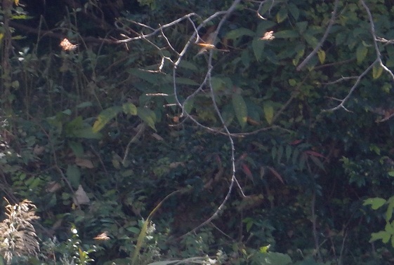 e0175370_10441937.jpg