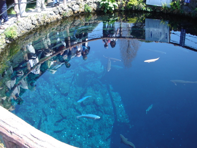 c0238971_08340484.jpg