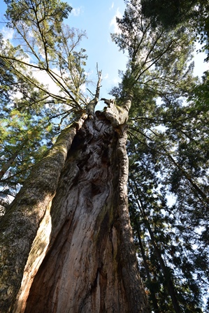 f0342371_8245158.jpg