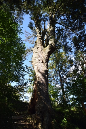 f0342371_8305229.jpg