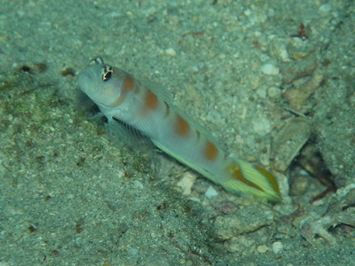 b0033573_17012783.jpg