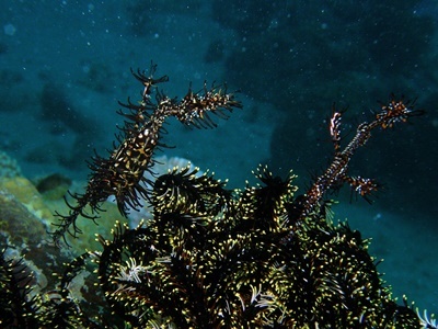 b0033573_17013782.jpg