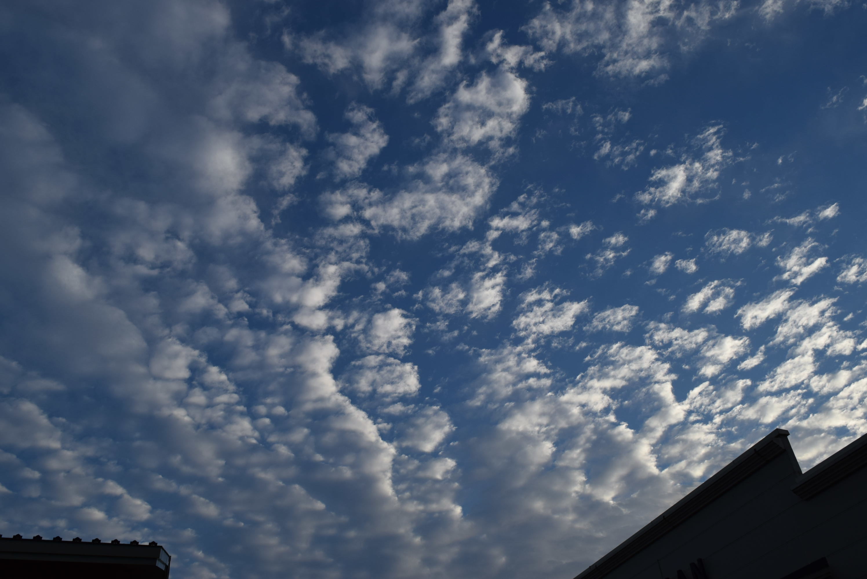 b0242873_21292696.jpg