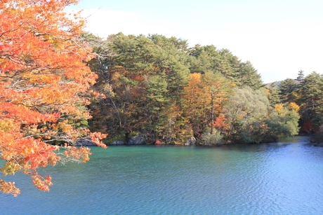 c0283778_16544640.jpg