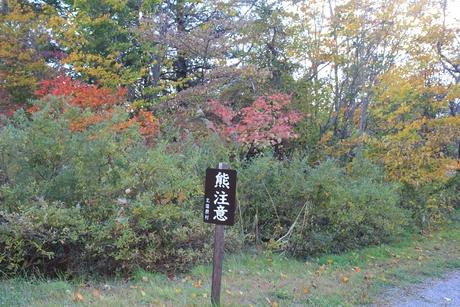 c0283778_1713935.jpg