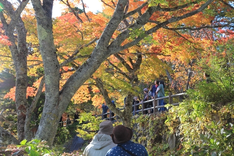 c0283778_1764830.jpg