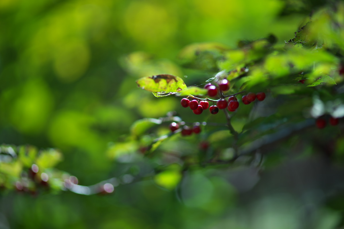a0083081_19151218.jpg