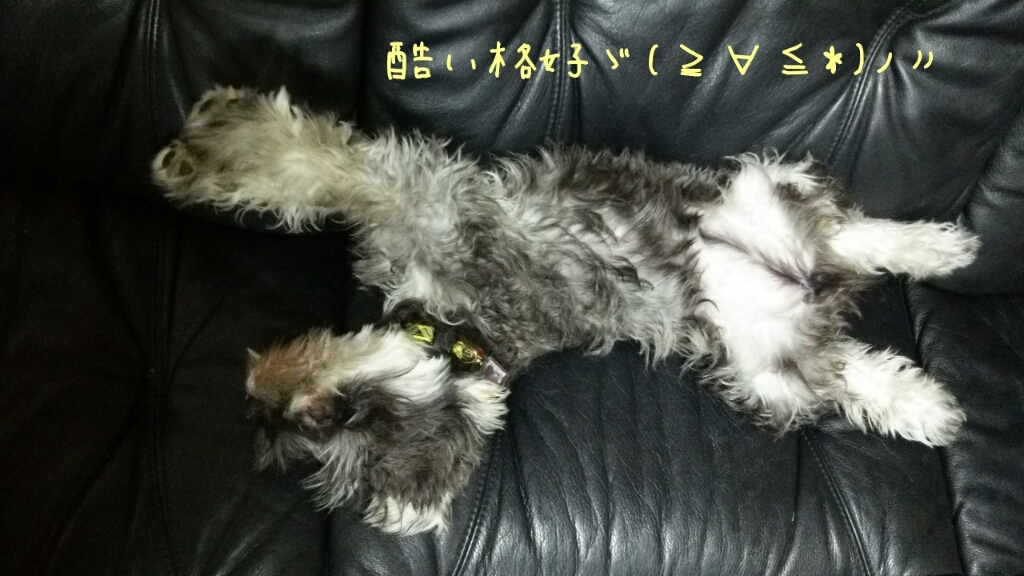 c0348784_15365684.jpg
