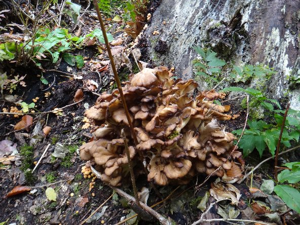 f0125091_033919.jpg