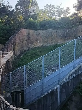 f0297893_17554432.jpg