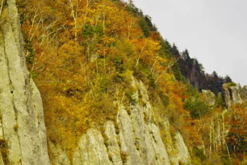 c0352894_17362734.jpg