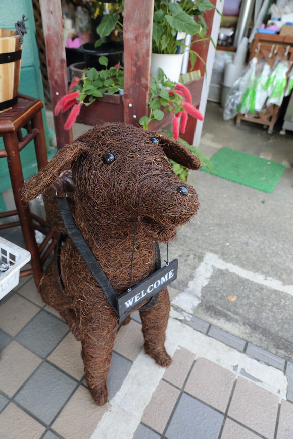 b0275998_11213261.jpg