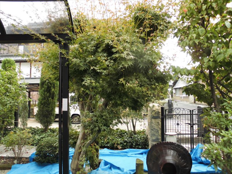c0108198_1750163.jpg