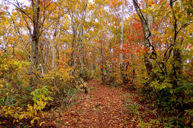 e0137200_0504336.jpg