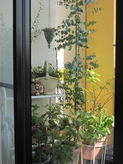 c0152002_17552453.jpg