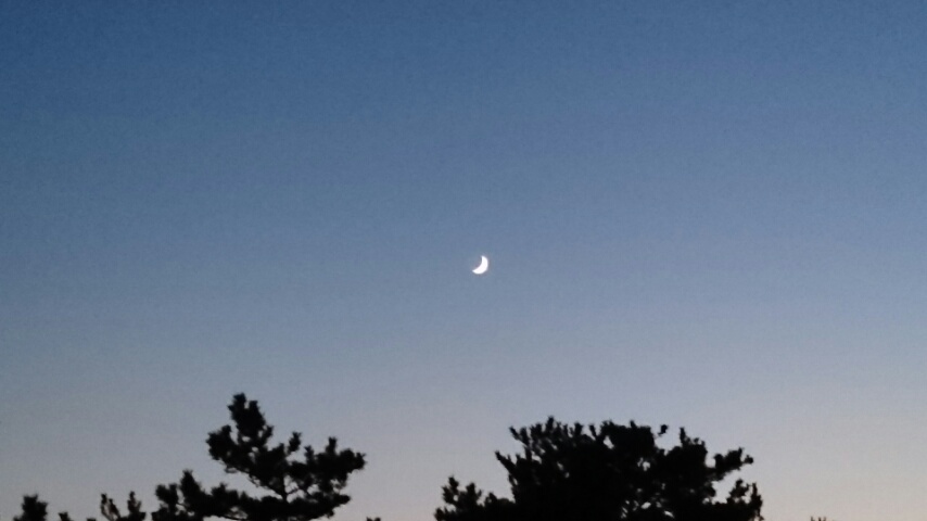 d0149105_1973542.jpg