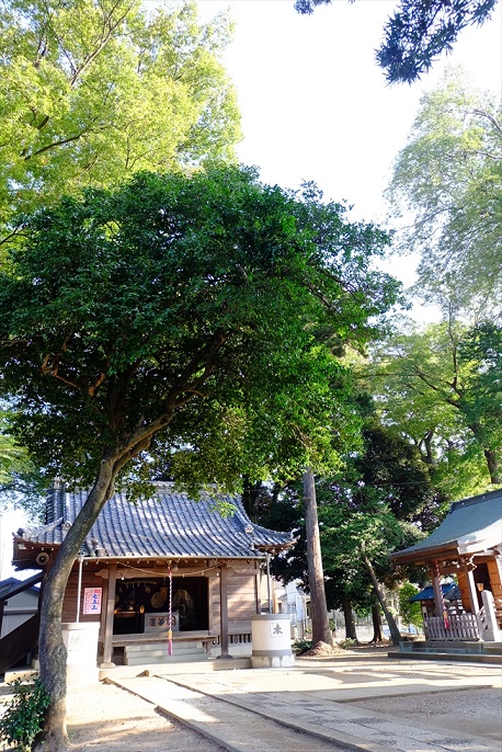 f0113108_2011566.jpg
