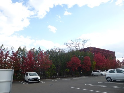 b0198109_21375484.jpg