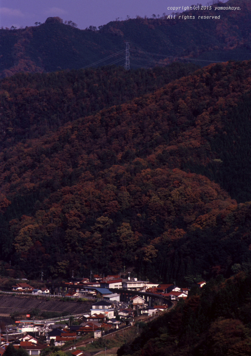 d0309612_23251255.jpg