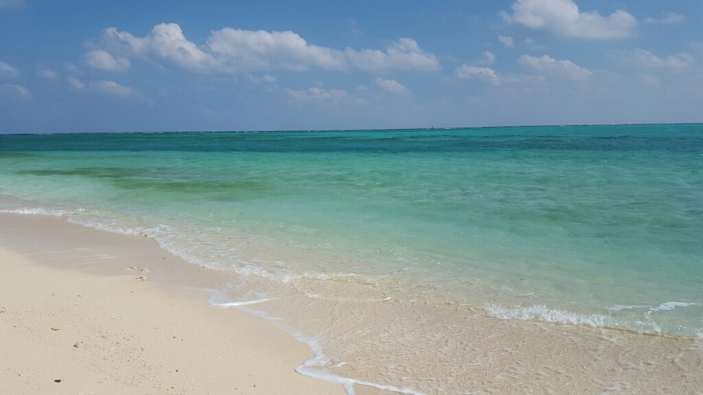 f0304219_21230901.jpg