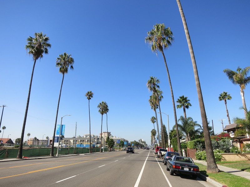 c0194728_14132883.jpg