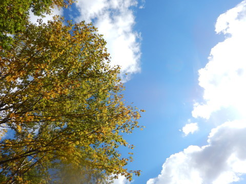 f0118332_23235769.jpg