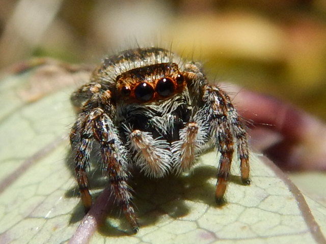 f0118332_23241519.jpg