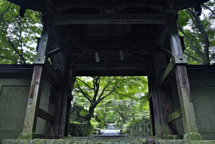 f0315034_12040780.jpg