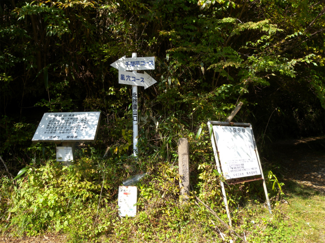 e0272335_1953785.jpg