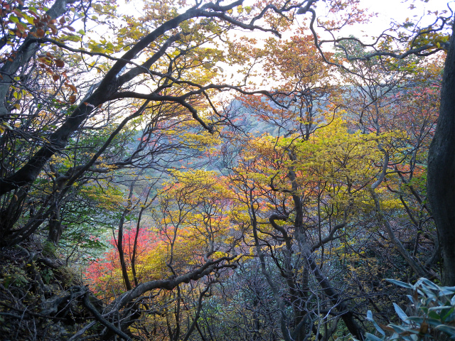 e0272335_20152956.jpg