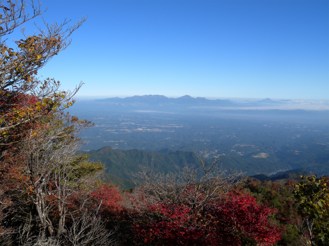 e0272335_20451955.jpg
