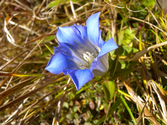 e0272335_2047193.jpg