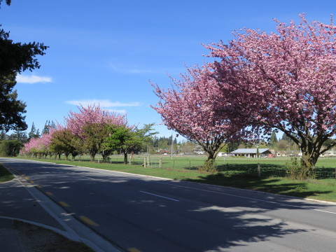 b0334436_15321436.jpg