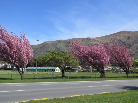 b0334436_15334422.jpg