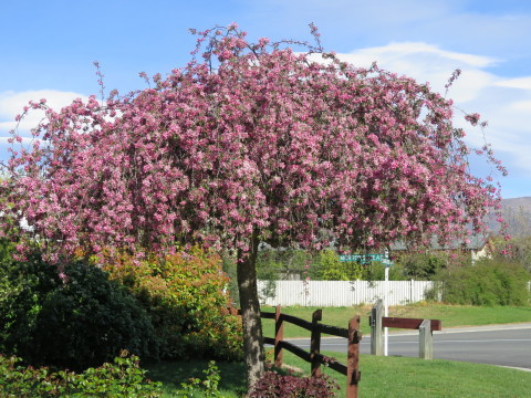 b0334436_15414200.jpg
