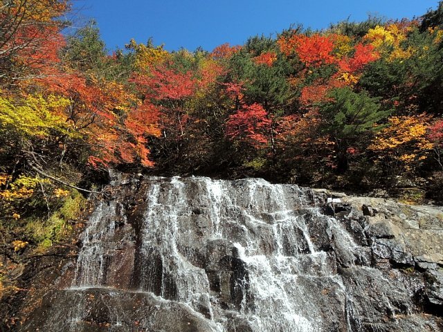 b0122448_22023686.jpg