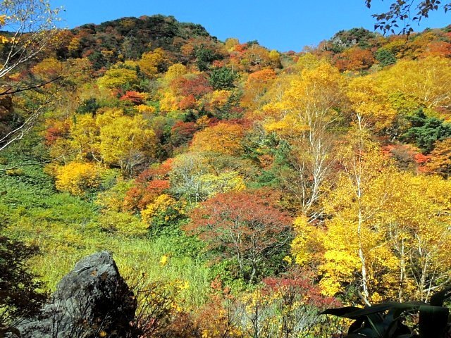 b0122448_22081230.jpg
