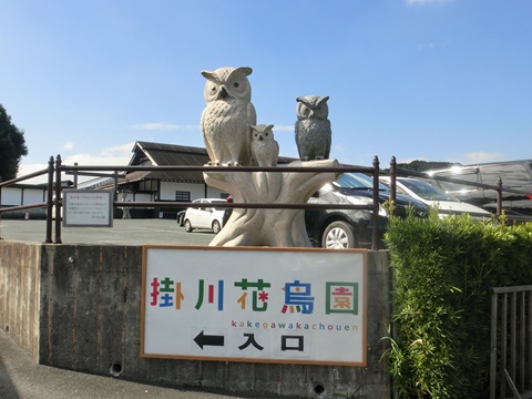 a0331562_14354692.jpg