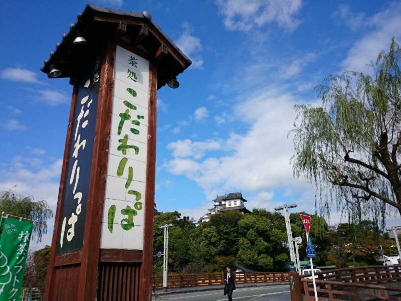 a0331562_17554175.jpg