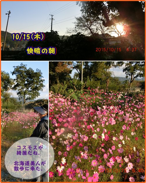 d0007071_4423735.jpg