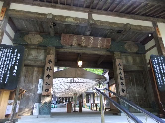 d0095673_1945183.jpg