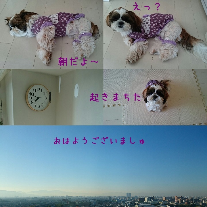 c0363378_12495084.jpg