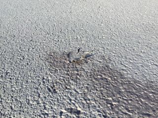 e0019280_1416266.jpg
