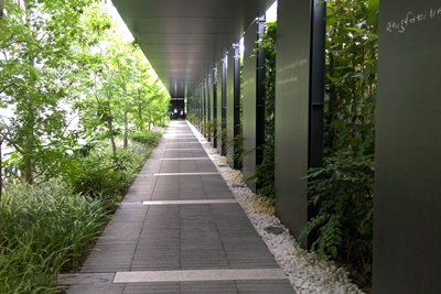 a0122785_17183254.jpg